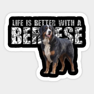 Bernese mountain dog Sticker